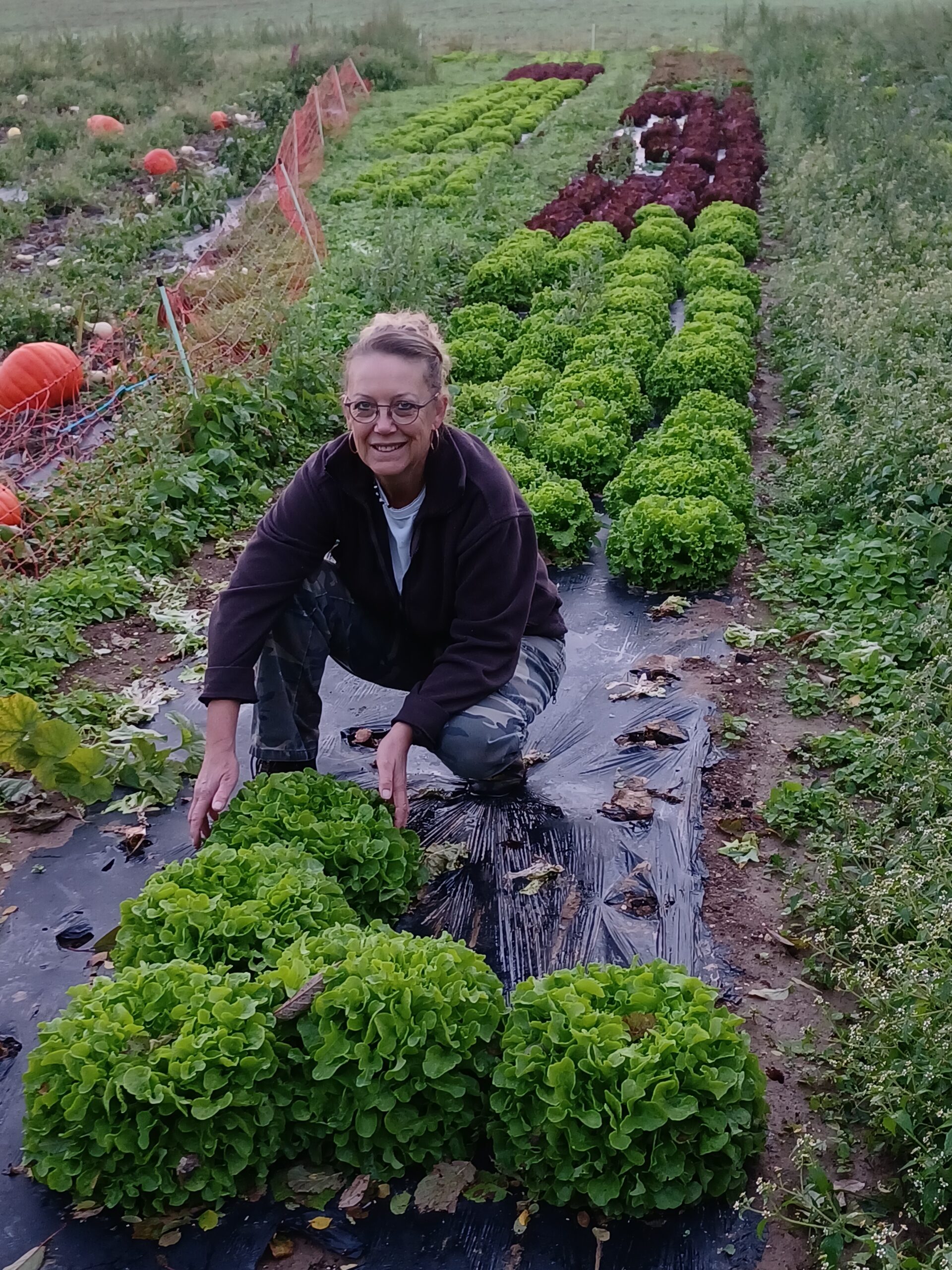 Laurence Bourgeois Saveur des champs